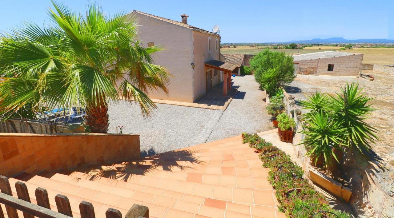 Alcoraia Villa Campos  Eksteriør billede